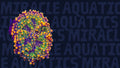Godzilla Bounce